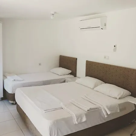 My Alojamento de Turismo Selvagem