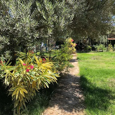 My Alojamento de Turismo Selvagem Mesudiye (Datca)
