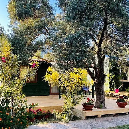 My بيت خشبي *