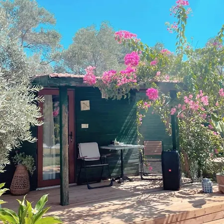 My بيت خشبي *