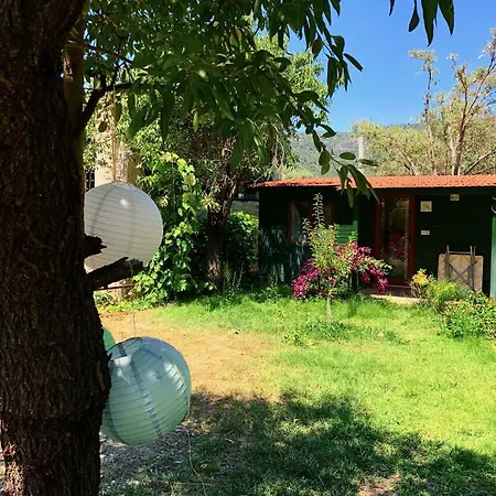 بيت خشبي My *