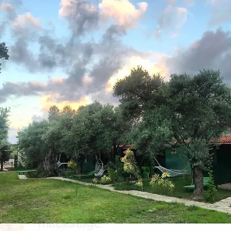 My بيت خشبي *