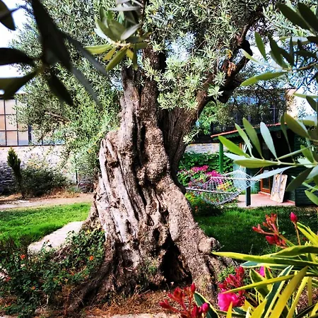 My Mesudiye (Datca)