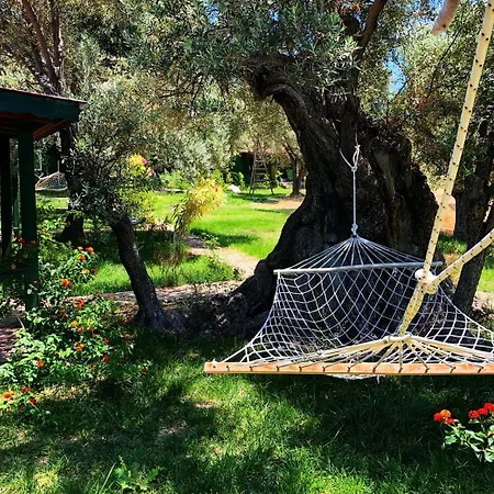 Alojamento de Turismo Selvagem My Mesudiye (Datca)