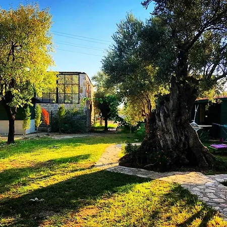 Domek letniskowy My